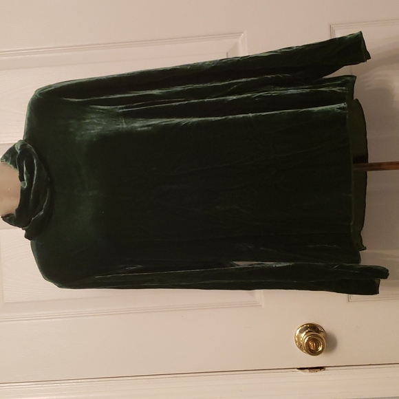 Zara Velvet High neck Pullover - Picture 2 of 6
